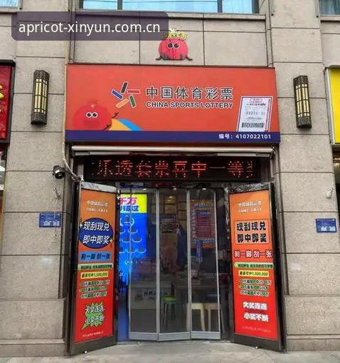 揭秘杏运体育官网焕新登场兼容版背后的升级逻辑：数据控的理性拆解
