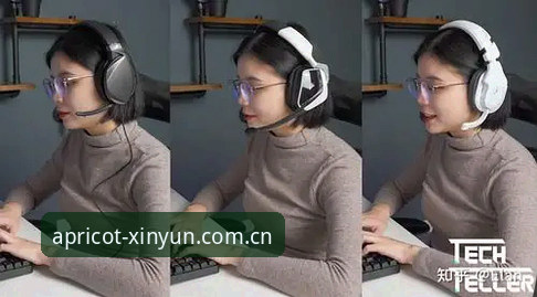 杏运体育官网焕新登场全面解析：从版本选择到电竞赛程功能的三层决策指南